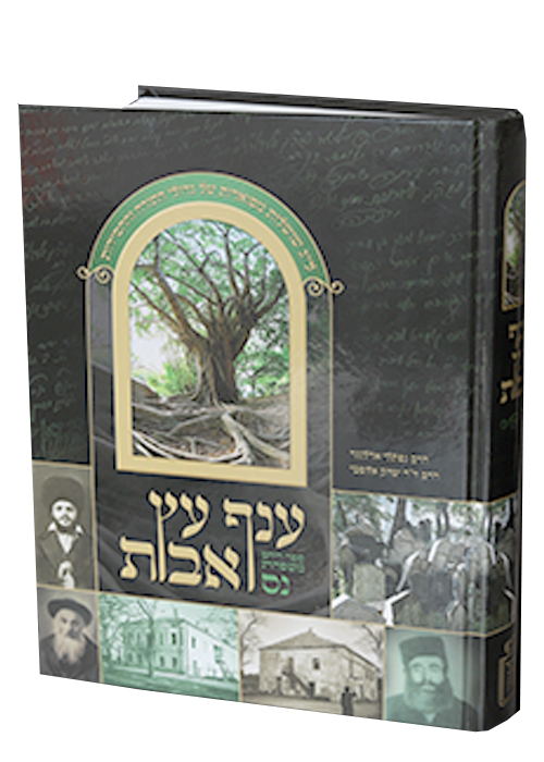 ענף עץ אבות – ספר היחס משפחת נס