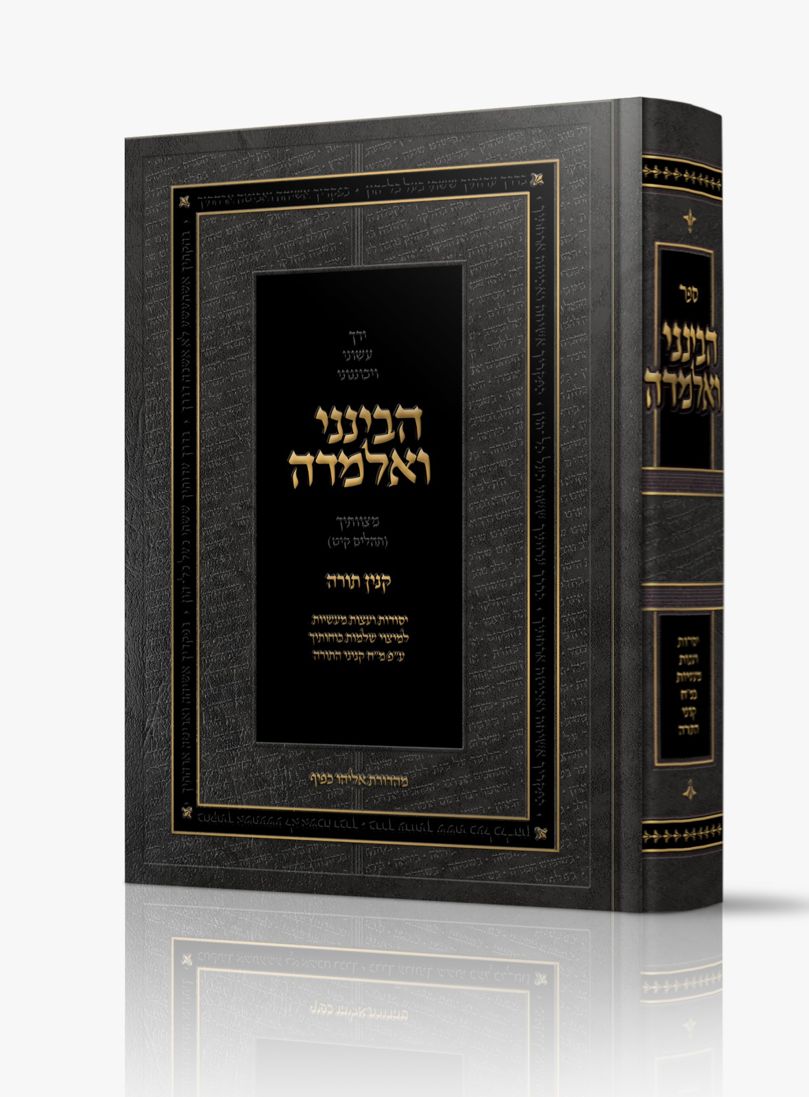 הבינני ואלמדה - קנין התורה